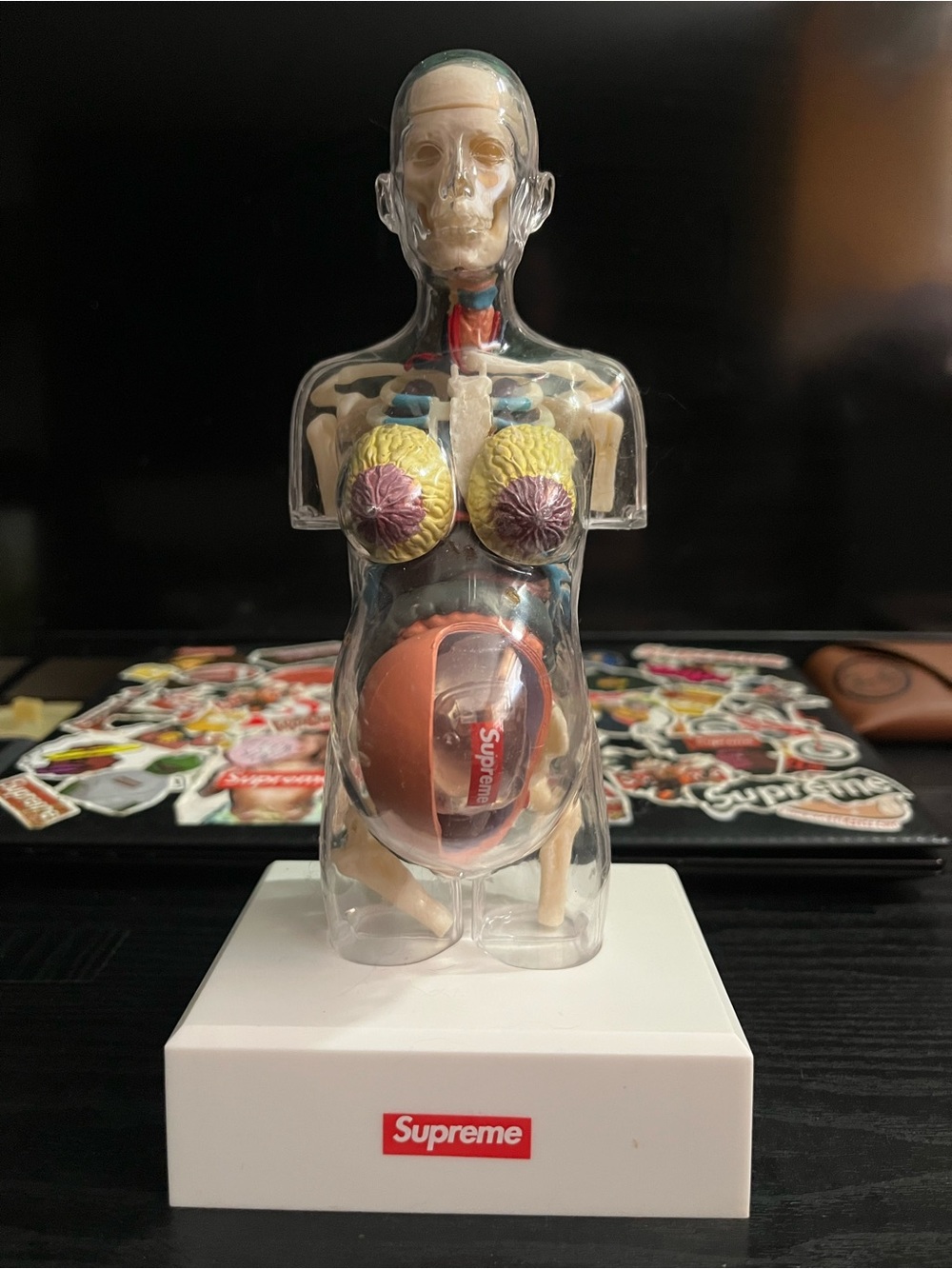 Supreme Pregnancy Model with box